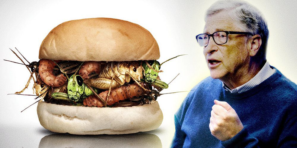 All Things Bugs: Bill Gates, U.S. Military Among Investors in GMO Insect Protein for Humans